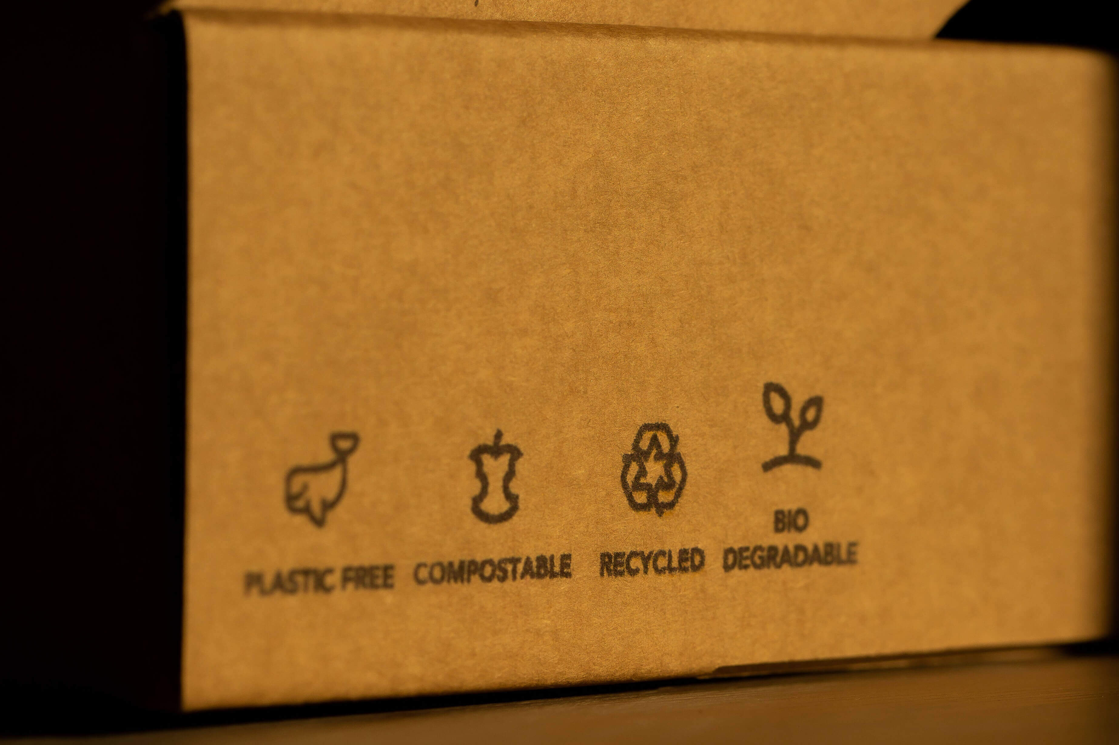 Recyclable versus Biodegradable