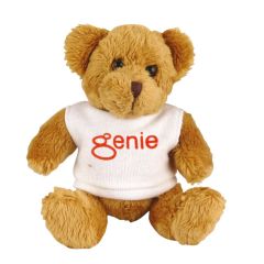 Robbie 5 Inch Bear with T-Shirt
