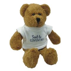 Scraggy 9 Inch Bear with T-Shirt
