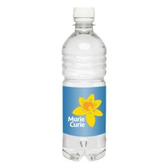 Bottled Water 500ml 