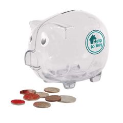 Medium Acrylic Piggy Bank