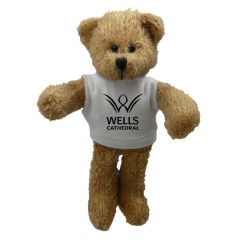 Scraggy 7 Inch Bear with T-Shirt