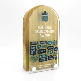Bamboo Award with Acrylic Front